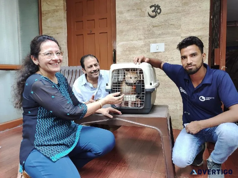 Domestic Pet Transportation service in India