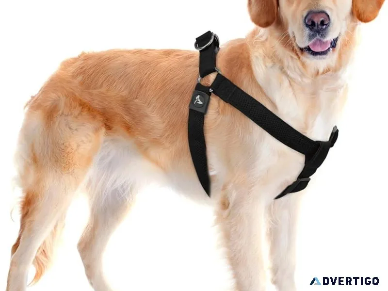 The Ultimate Rocky Mountain Dog Harness Collection