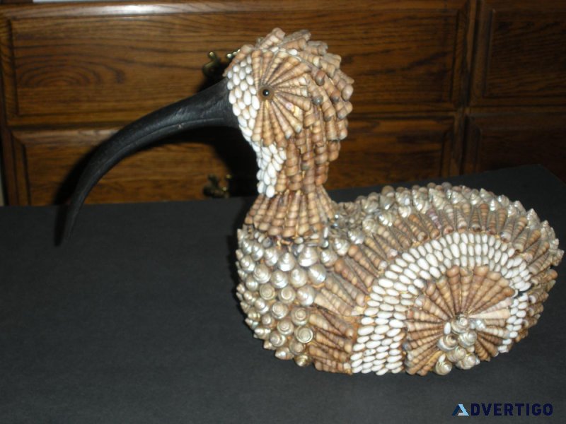 Seashell Duck