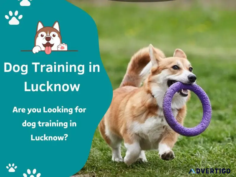 Dog Trainer in Lucknow