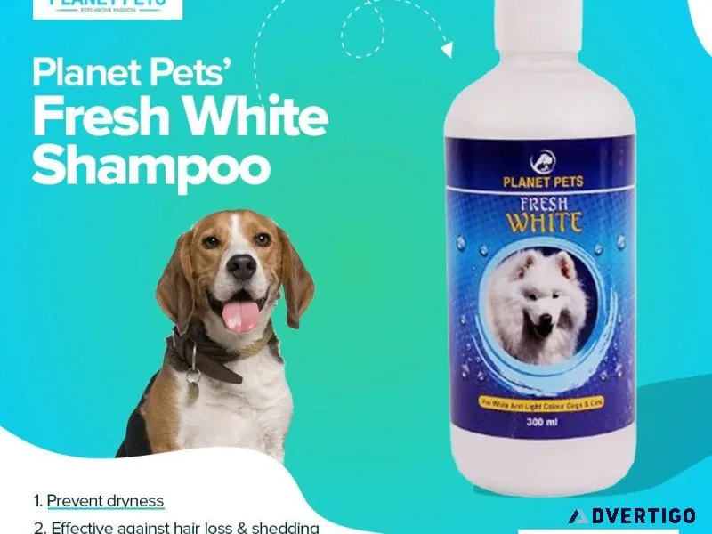 Pamper Your White Dog with Planet Pets