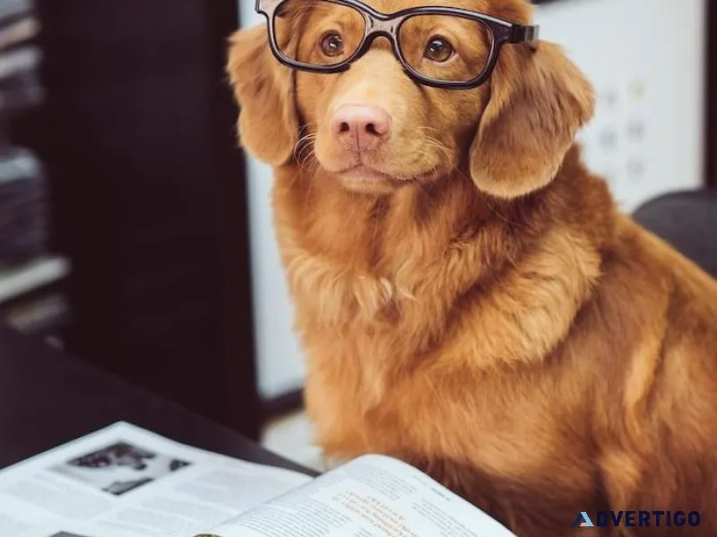Feature Your Pet Business Free