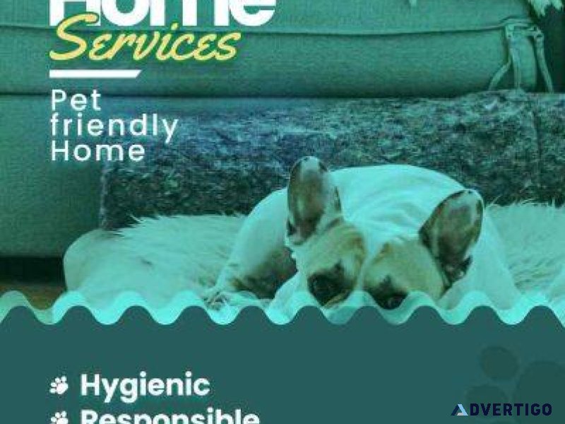 Dog Hostel Chennai
