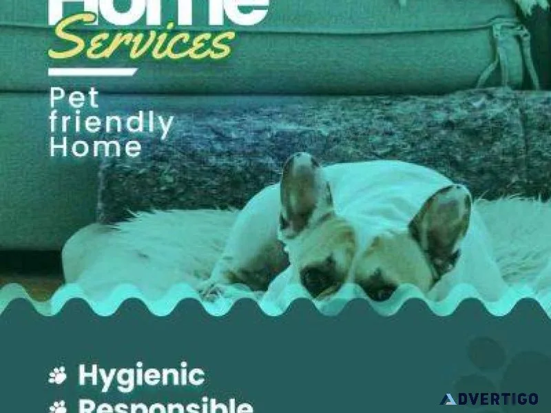 Dog Hostel Chennai
