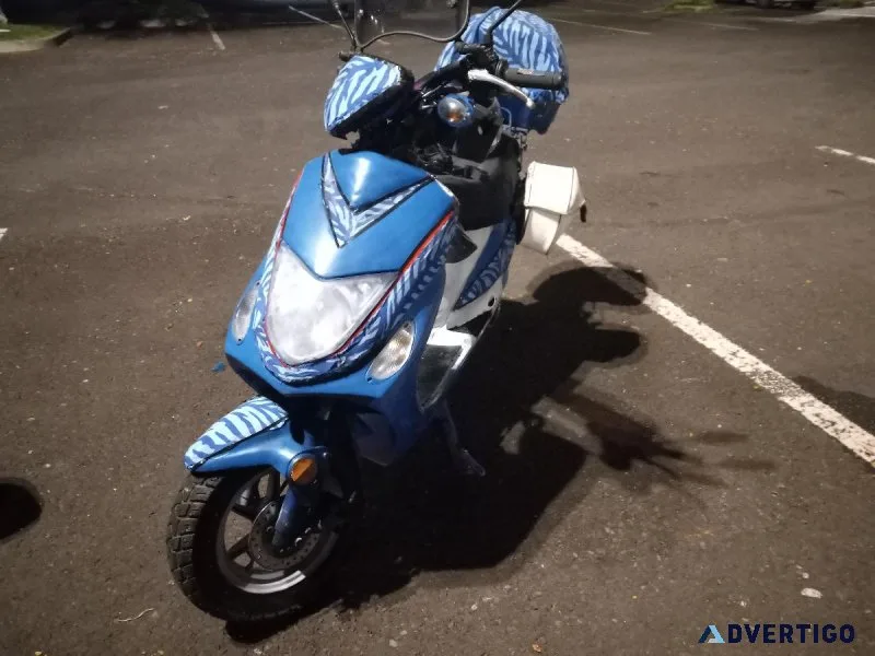 Chicago scooter company gomax 50cc moped
