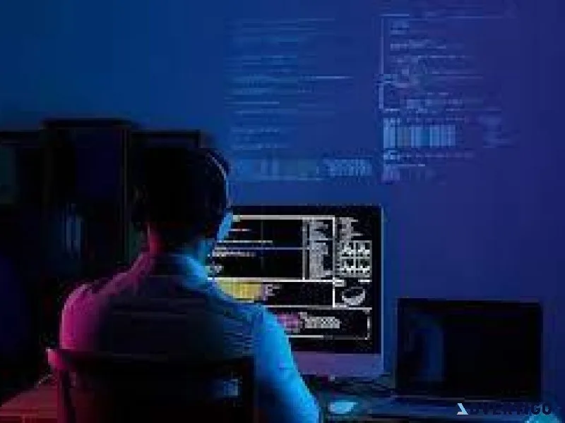 Software Developement