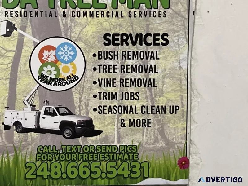 Tree removal