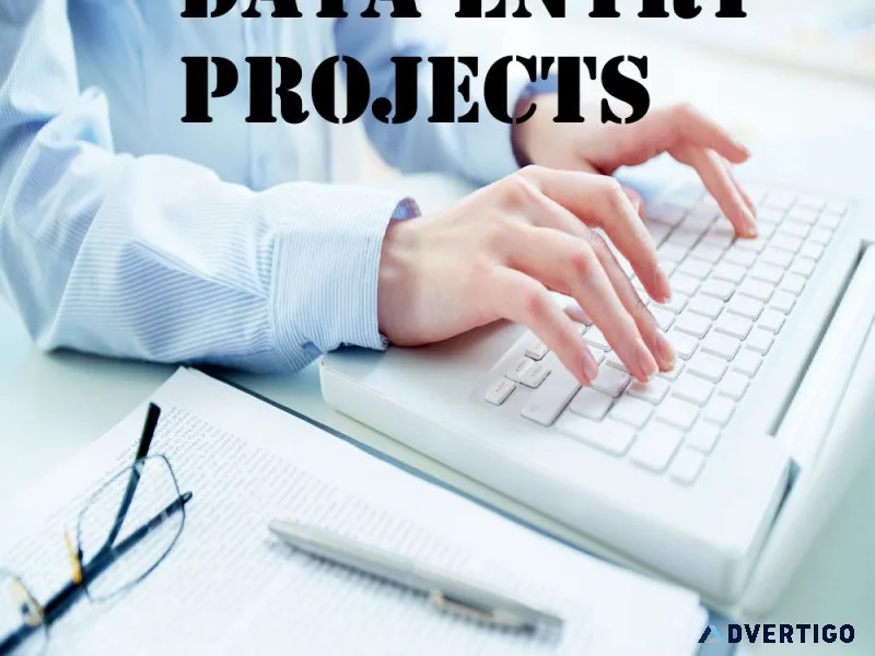 Data entry projects provider in noida