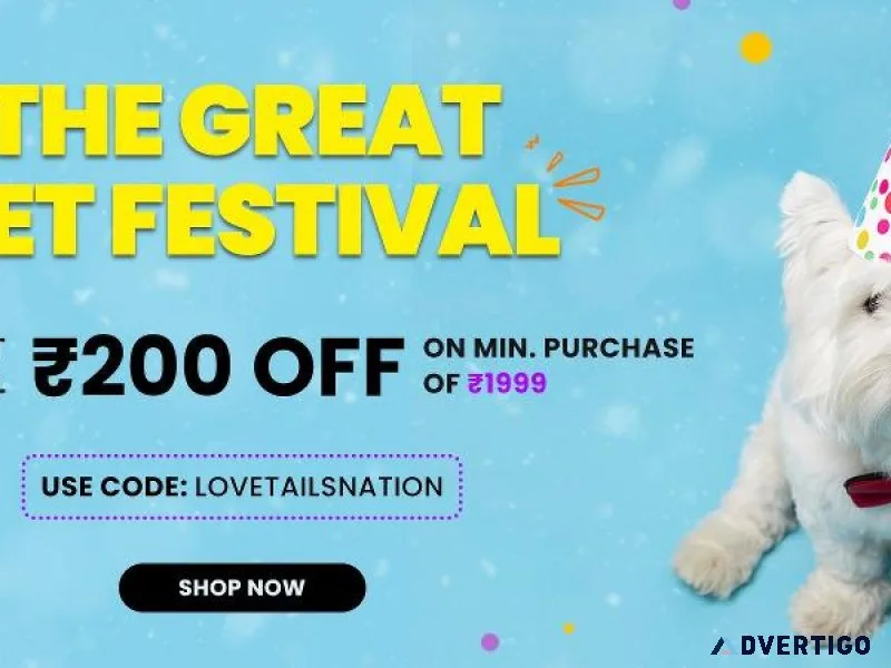 Buy Premium Pet Supplies for Dogs  Online In India Tails Nation
