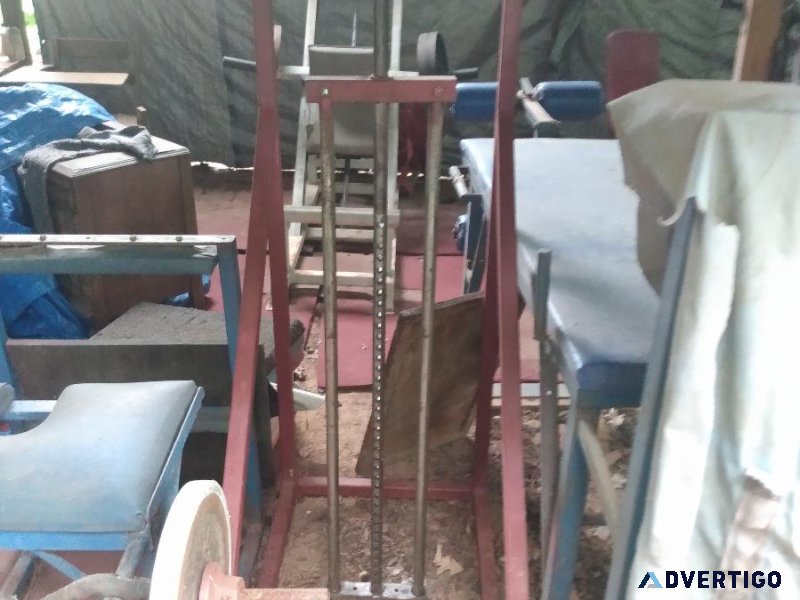 Standing calf machine