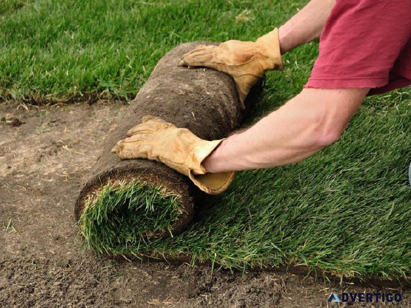 Sod Installers Hamilton - Monarch Landscaping