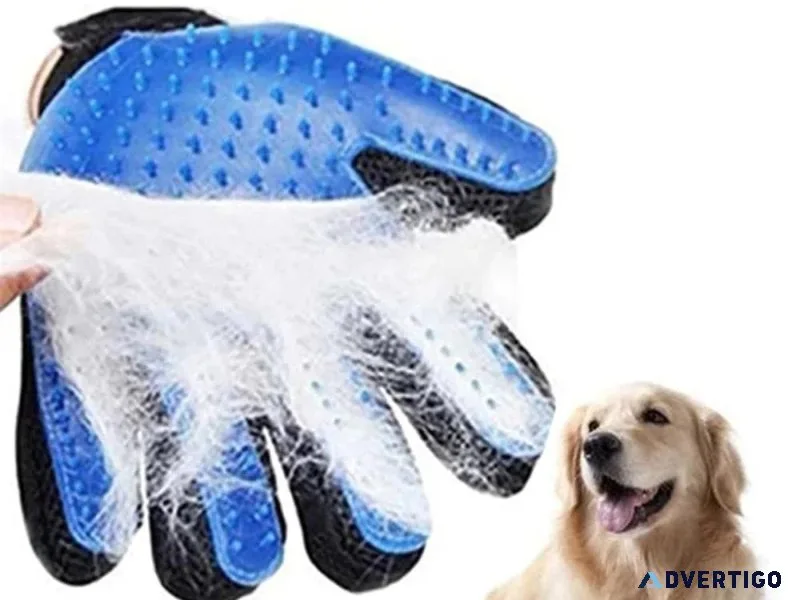AuzPetz - Your Destination for Wholesale Dog Products USA