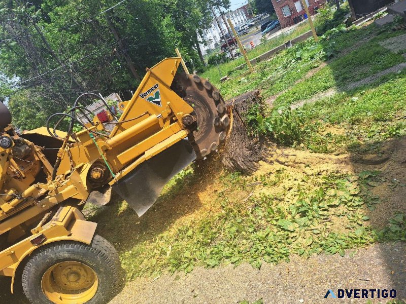 Stump grinder Vermeer 2465