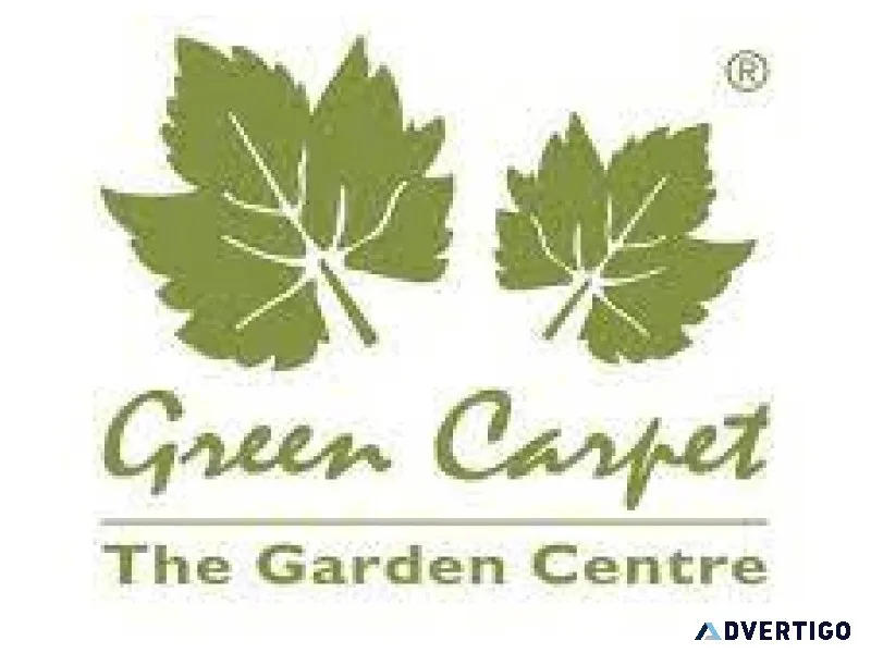 Green carpet: the garden centre
