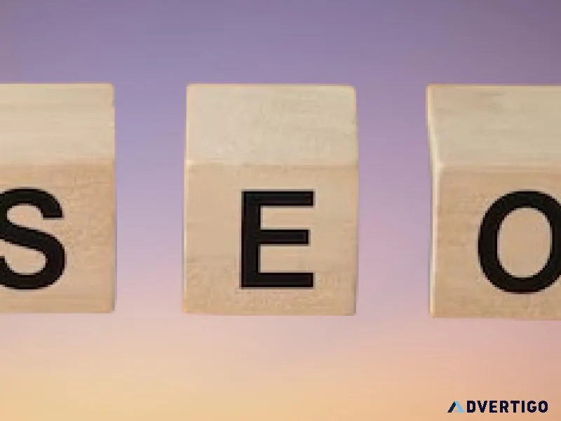 Top seo services company in houston