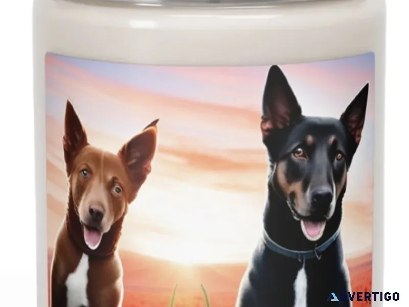 Brand New 2 ai Dogs in a Field of Poppies Scented Candle