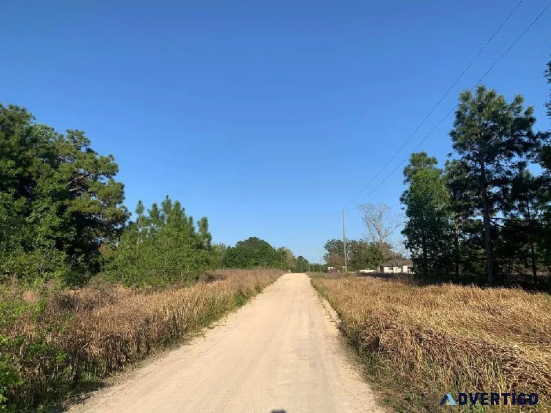 0.11 Acre Lot in Fort McCoy Florida - owner financed