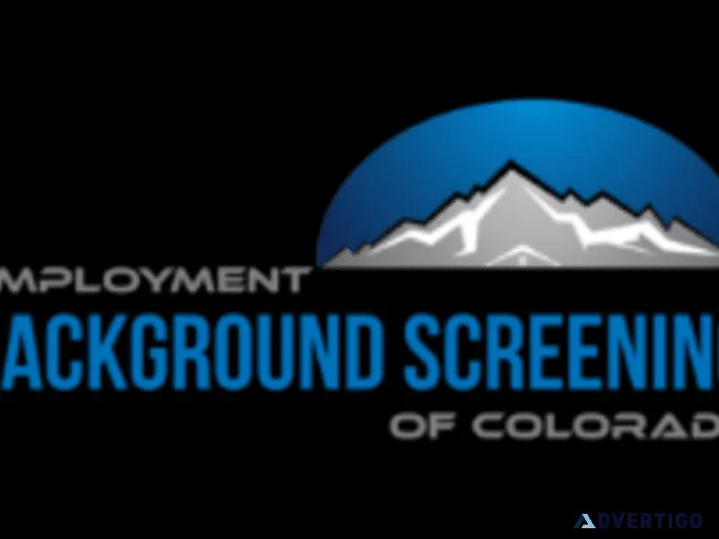How to Run a Comprehensive Colorado Driving Record Check