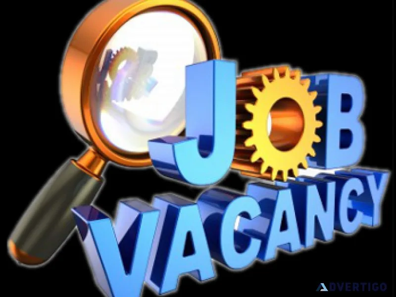 Jobs Jobs Jobs