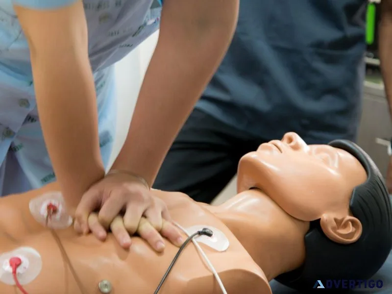 Asistente Medico 1113