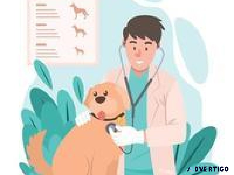 Top Veterinary Clinic Serving Sector 137 Noida