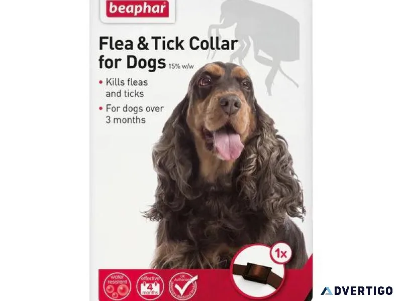 LovelyPup Top-Quality Leather Dog Collars UK
