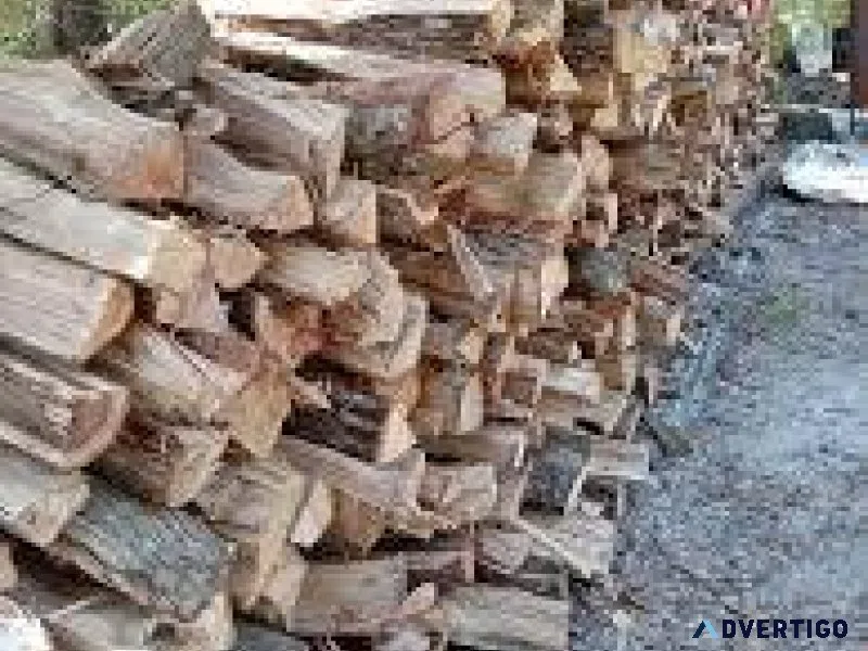 Selling firewood