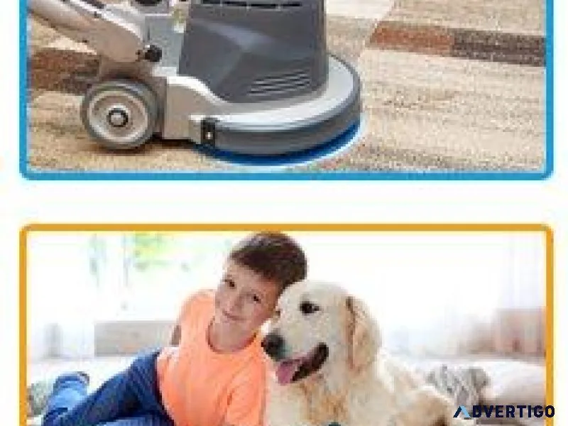 Santa Fe Carpet Cleaning