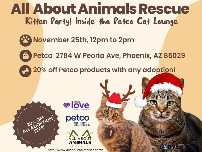 Kitten PartyThe Lowest Adoption Fees of the Year