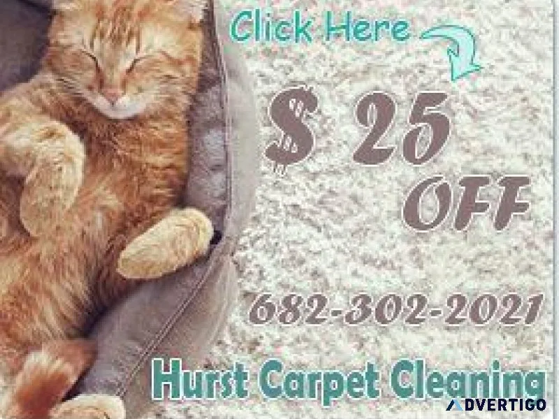 Hurst TX Carpet Cleaning