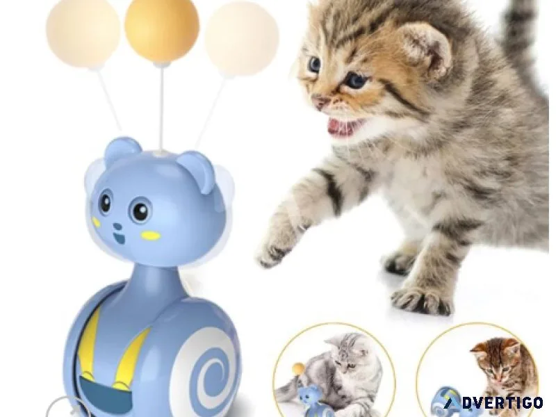 Adorable Pet Clothing Store