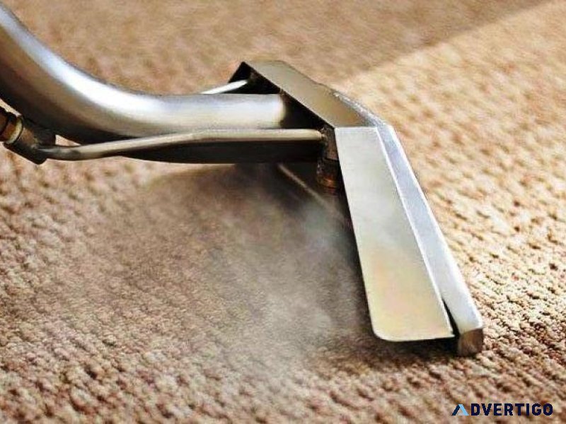 Carpet Steam Cleaning Services Near You