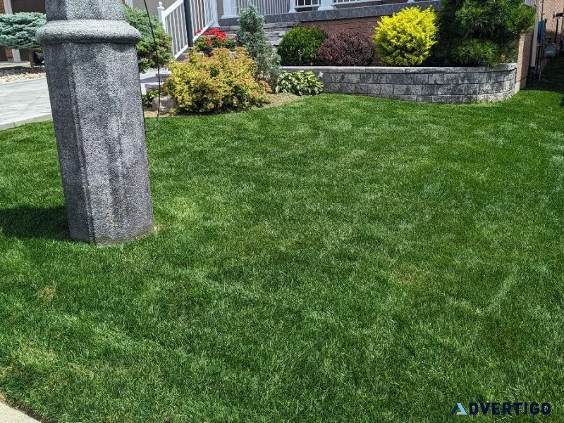 Lawn maintenance