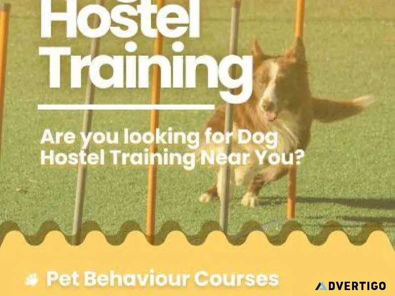 Dog Training School Bangalore