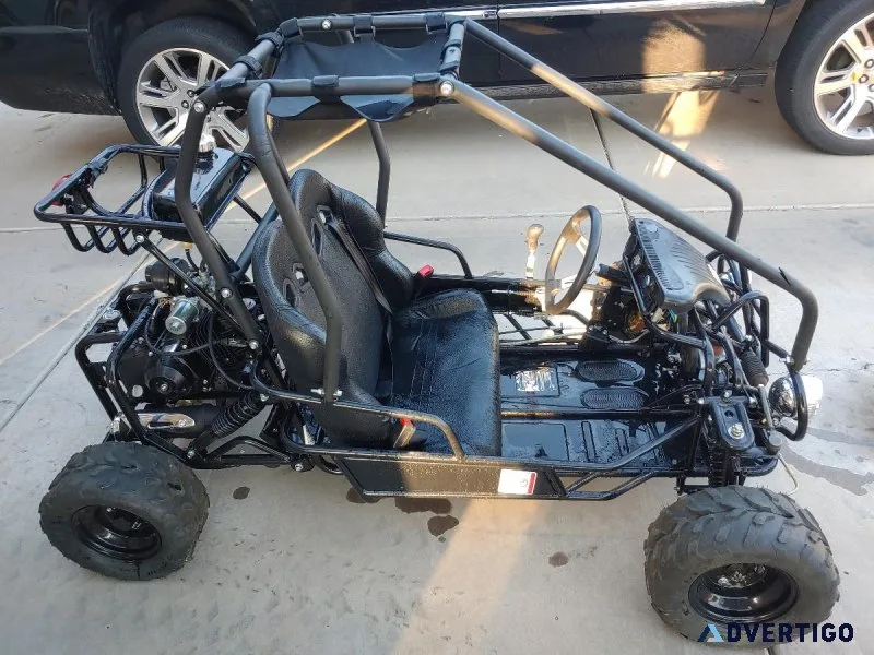 110 cc Go Kart