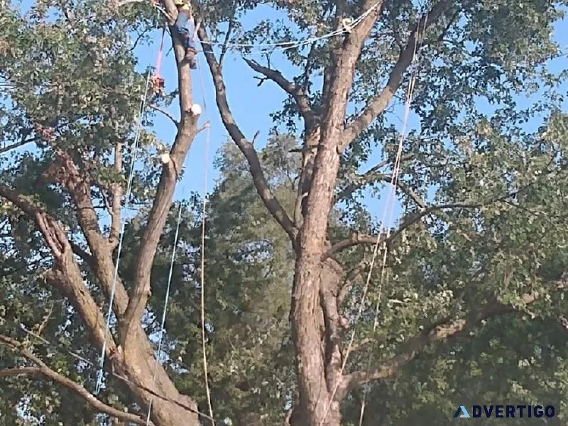 Utsler Tree Service LLC