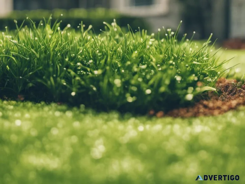 &quotLush Success Starts with Scalable PEO Solutions&quot