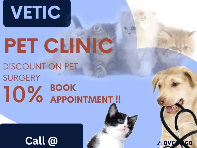 Is your pet in need of expert surgical care Look no further