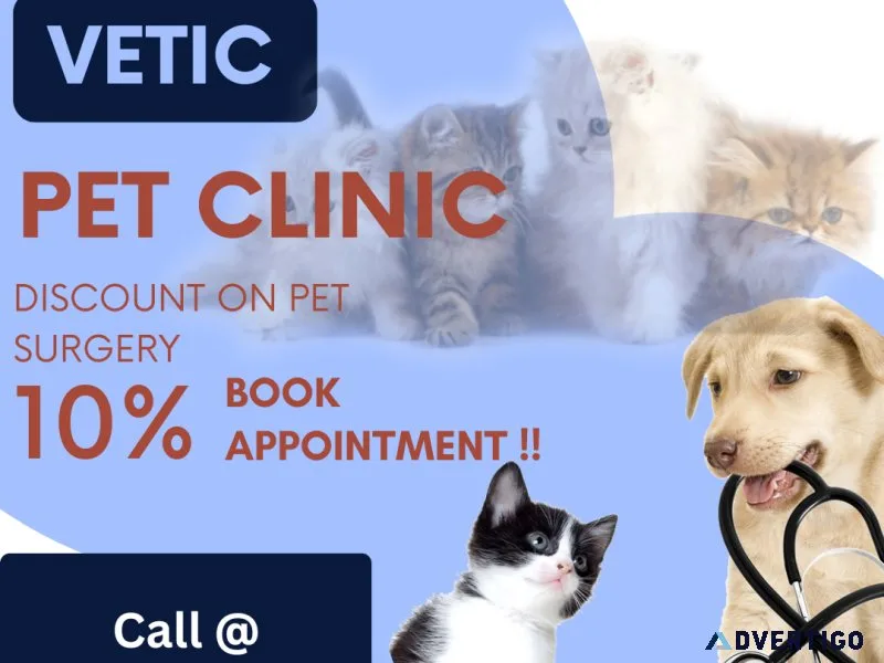 Is your pet in need of expert surgical care Look no further
