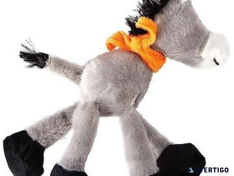 Explore premium dog toys for puppies online  Tails Nation