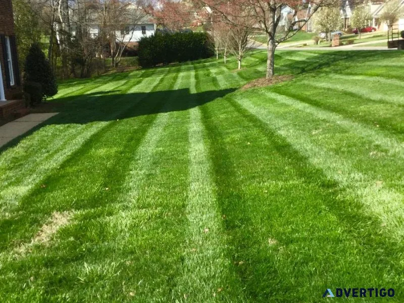 Lawn Care