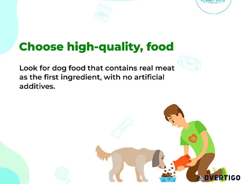 Treat Your furry Friend with Planet Pets
