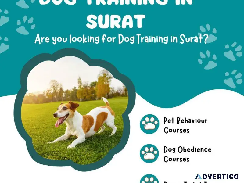 Dog Trainer in Surat