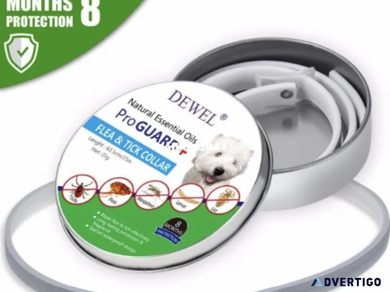 Pet supplies as cheap as &pound1 1