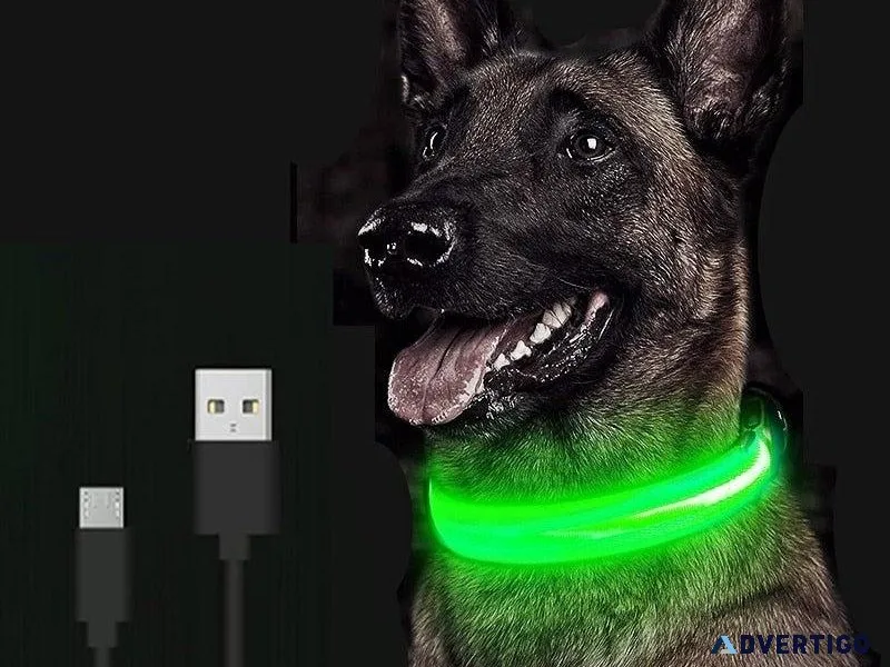 Adjustable LED Glowing Pet Collar