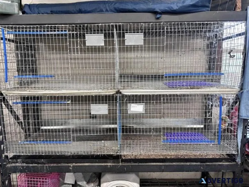 Rabbit Cage 4 Unit (24x36)