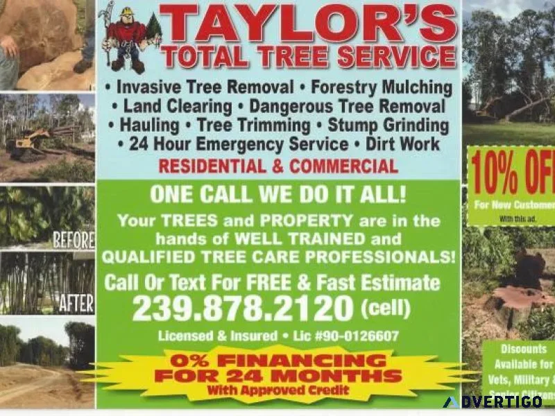 HURRICANE TRIM TREE REMOVAL GRAPPLE LOADS DUMPSTER SERVICE