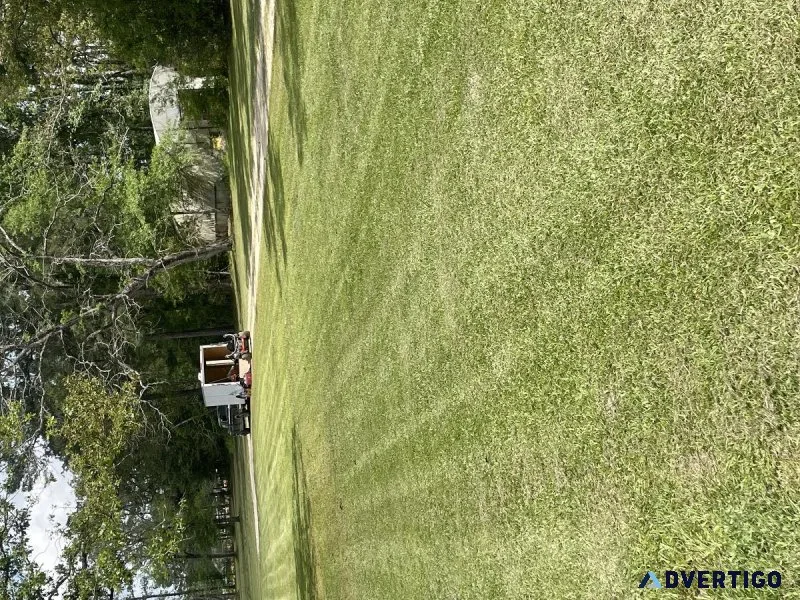Lawn care and complete property maintenance