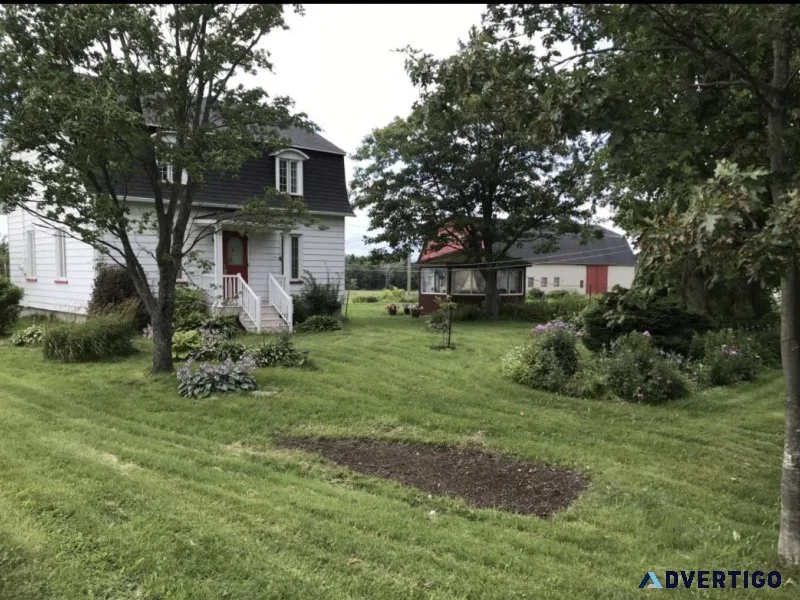Farm for sale in L&eacutevis (land)