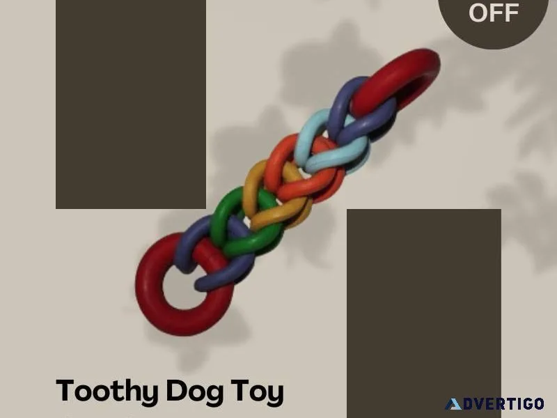 Toothy Dog Toy Services - Call 91 9810110201